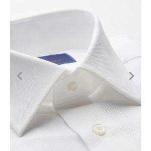 David Donahue Oxford Shirt (3 total)